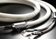 Telos Audio Design Platinum Reference Speaker Cables - salony w Katowicach i Toruniu zapraszają - kupuj u najlepszych!