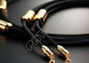 Telos Audio Design Gold Reference RCA Interconnect  - salony w Katowicach i Toruniu zapraszają - kupuj u najlepszych!
