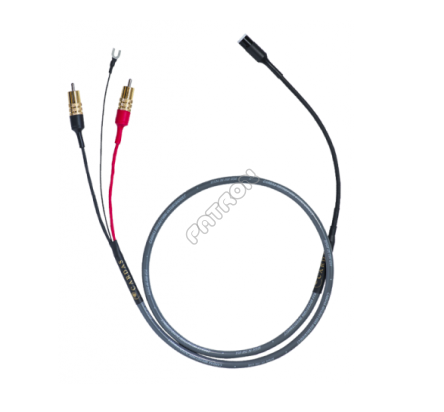 Cardas Microtwin Phono Cable  - salony w KATOWICACH i TORUNIU zapraszają - kupuj u najlepszych!